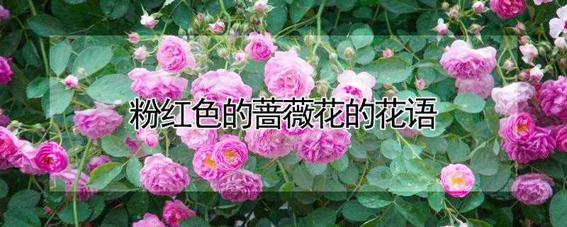 ۺɫǾޱĻɫǾޱʲôԢ⣩