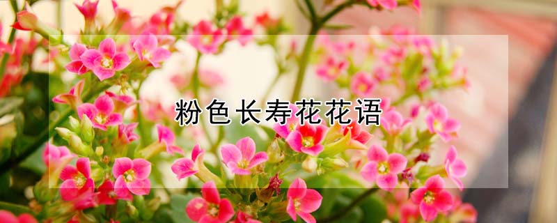 ɫٻɫٻʲôԢ⣩