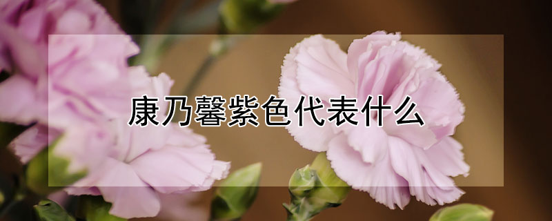 ܰɫʲôɫܰԢ
