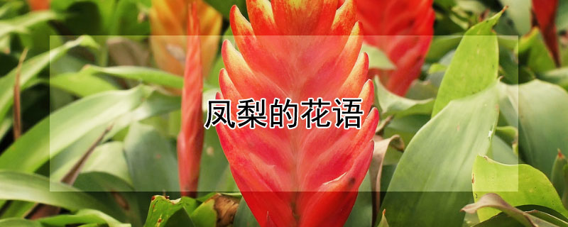 ĻЩԢ⣩