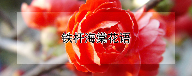 ˺Ļ˺ĵԢ⣩