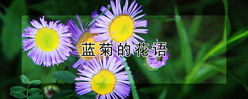 յĻʲôյԢʲô壿