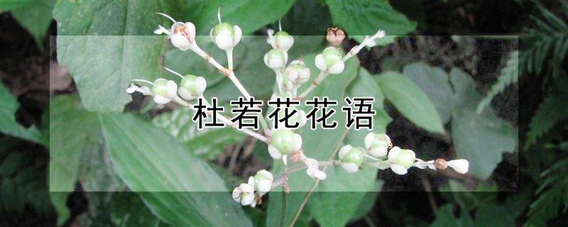 Ļʲô壿
