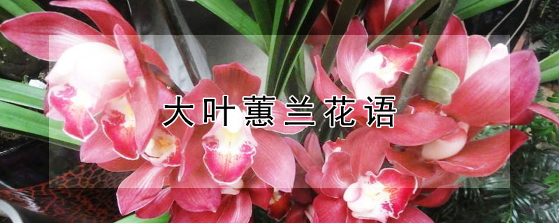 ҶޥҶޥЩԢ⣩