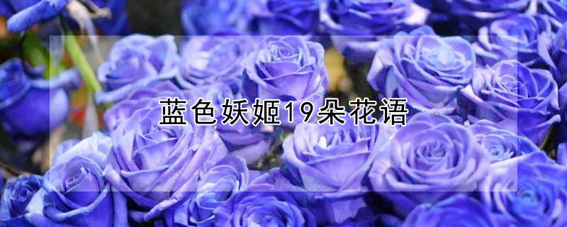 ɫ19仨ɫ19ʲôԢ⣿