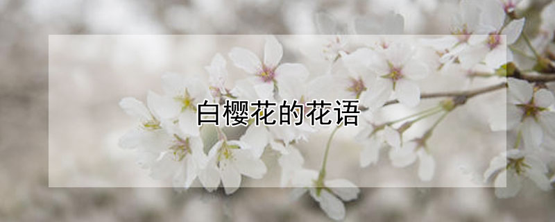 ӣĻӣʲôԢ⣩