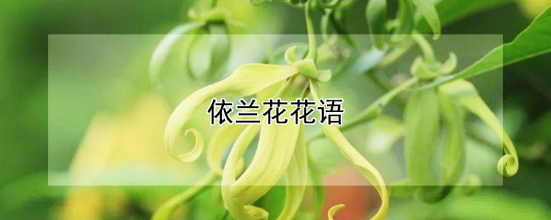 ĻʲôԢ⣩