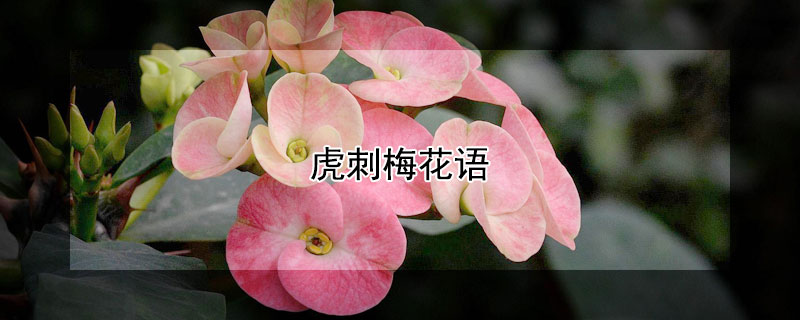 ÷Ļ÷Ԣʲô
