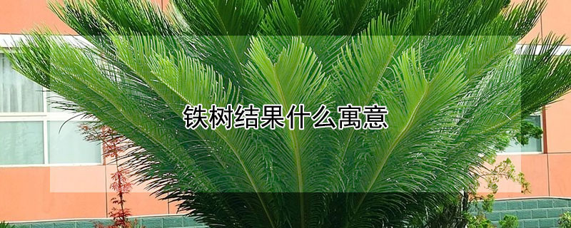 ʲôԢ⣨ʲô壩