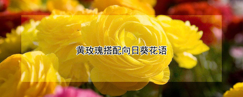 õտЩ壿