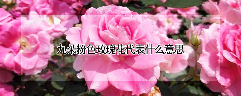 Ŷɫõ廨ʲô壿Ŷۺɫõ廨Ļ