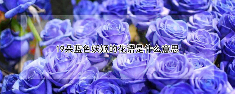 19ɫĻʲô˼19ɫĻЩ˼