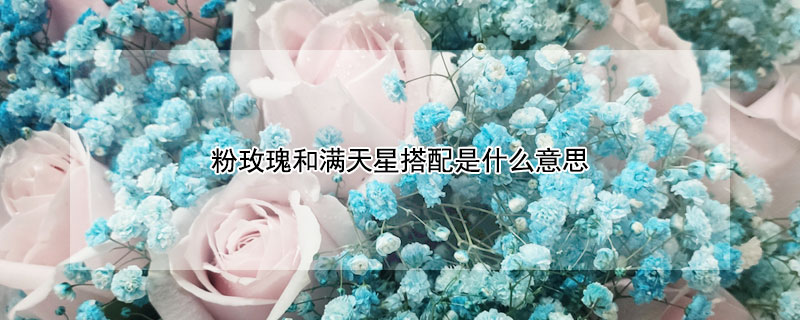 õǴʲô˼õǴЩ
