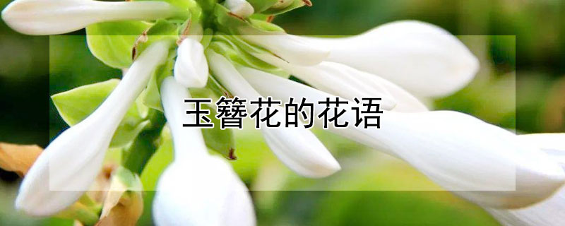 Ļ