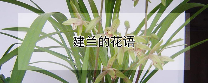 Ļô˼ʲôԢ⣿
