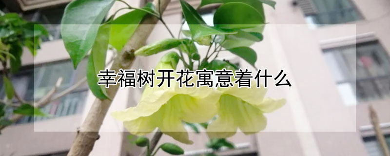 ҸԢʲôҸЩ壿