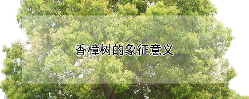 壬ЩԢ⣿