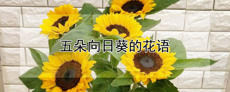 տĻʲô壿