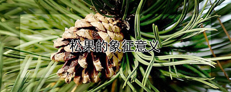 ɹʲôɹЩ壿