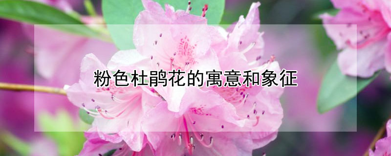 ɫž黨Ԣʲô