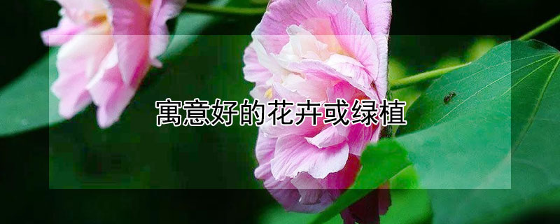 ԢõĻֲܻЩ