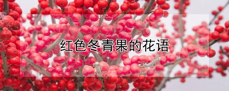 ɫĻɫʲô壿