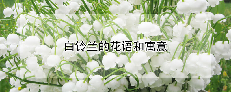 ĻԢܣЩ壿