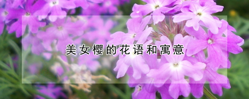 ŮӣĻԢ⣨ŮӣЩ壩