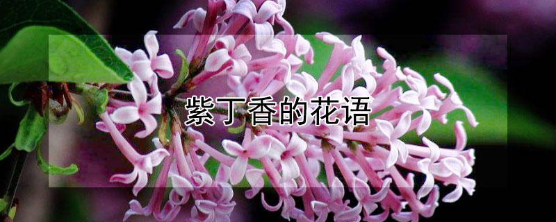϶Ļ϶Щ壩