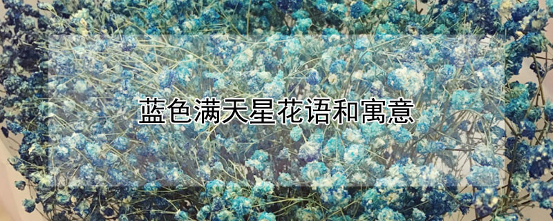 ɫǻԢ⣨ɫЩ壩