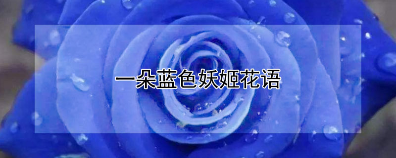 һɫĻһɫЩԢ⣩
