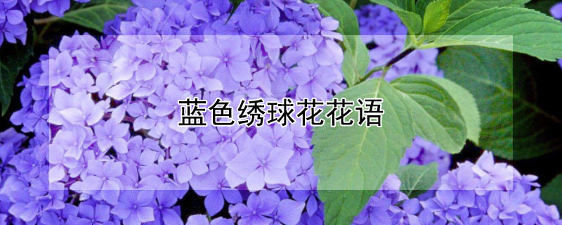 ɫ򻨻ɫЩ壩