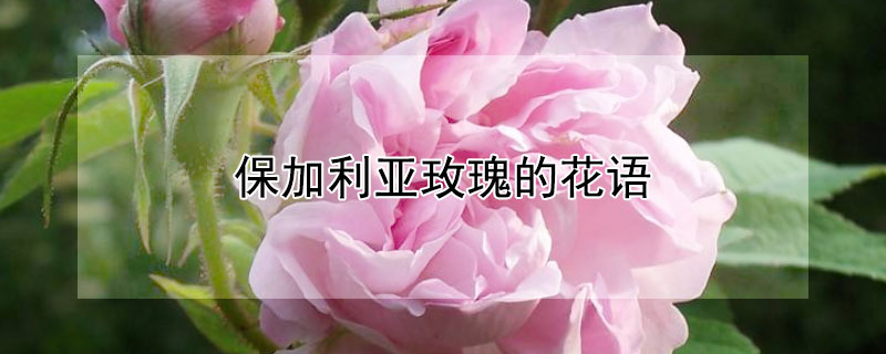 õĻõЩ壩