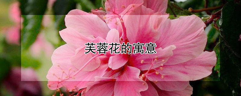ܽػԢ⣨ܽػЩ壩