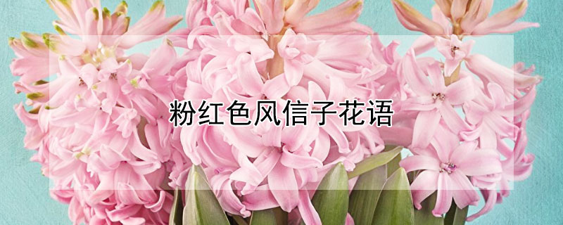 ۺɫӵĻۺɫЩ壩