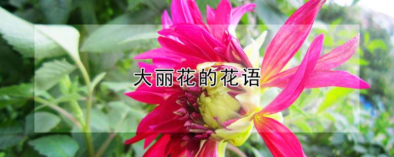 ĻʲôʲôԢ⣿