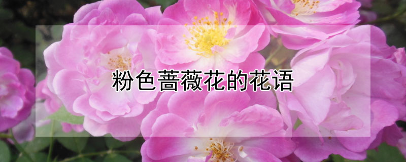 ɫǾޱĻɫǾޱЩԢ⣩