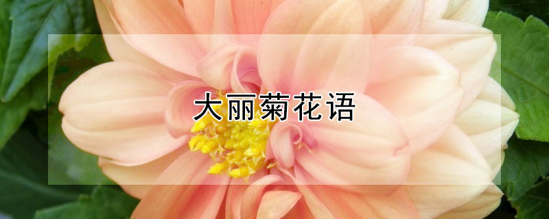 յĻЩ壩