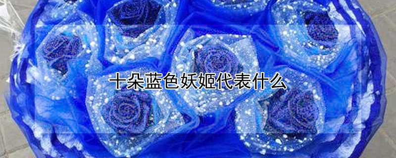 ʮɫʲôʮɫԢʲô
