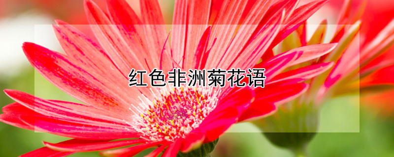 ɫ޾յĻɫ޾Щ壩