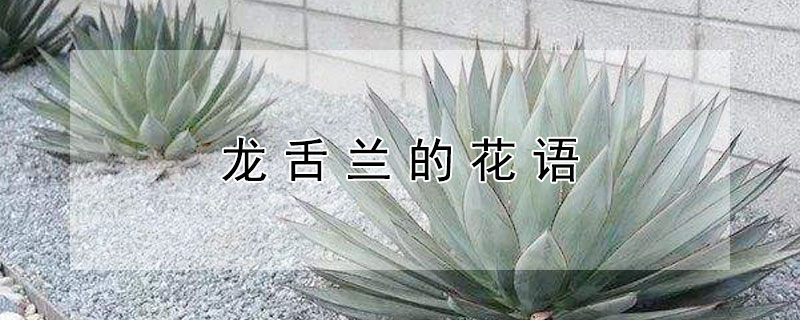 ĻʲôԢ