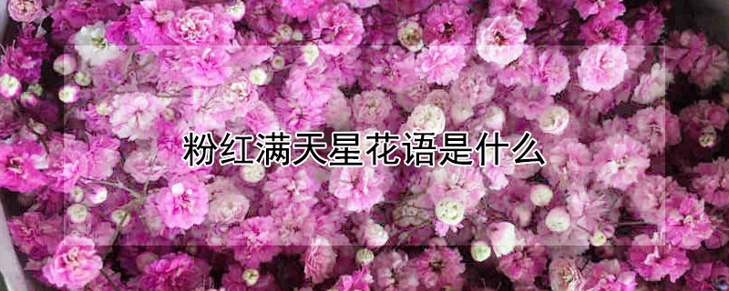 ۺǻʲôɫЩԢ⣿