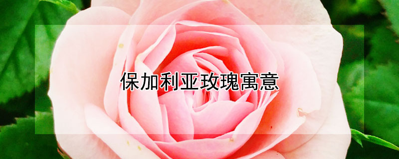 õԢ⣨õЩ壩