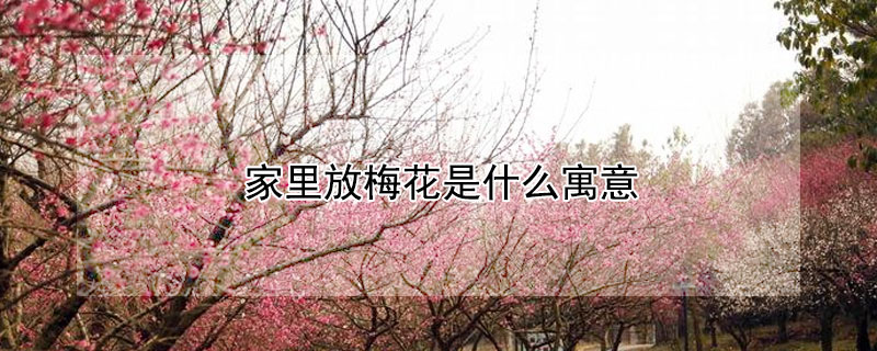 ÷ʲôԢ⣨÷ʲô壩