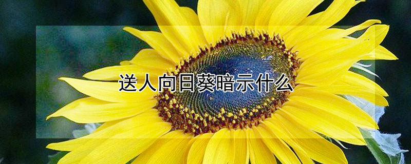 տʾʲôտЩԢ⣩