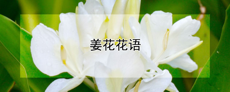 ĻԢ