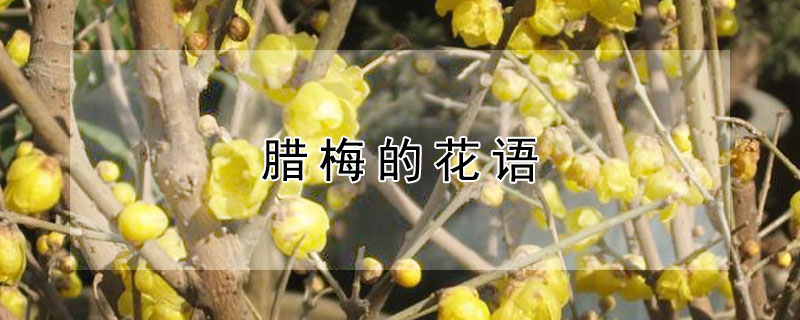÷Ļ÷ʲôԢ⣿