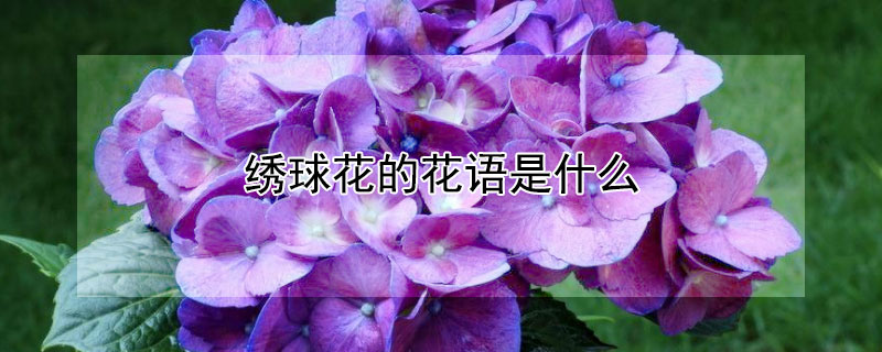 򻨵ĻʲôЩԢ⣿