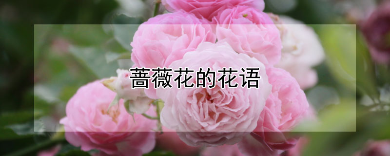 ǾޱĻ
