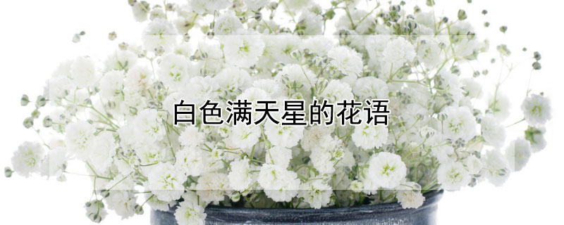 ɫǵĻɫǵԢ